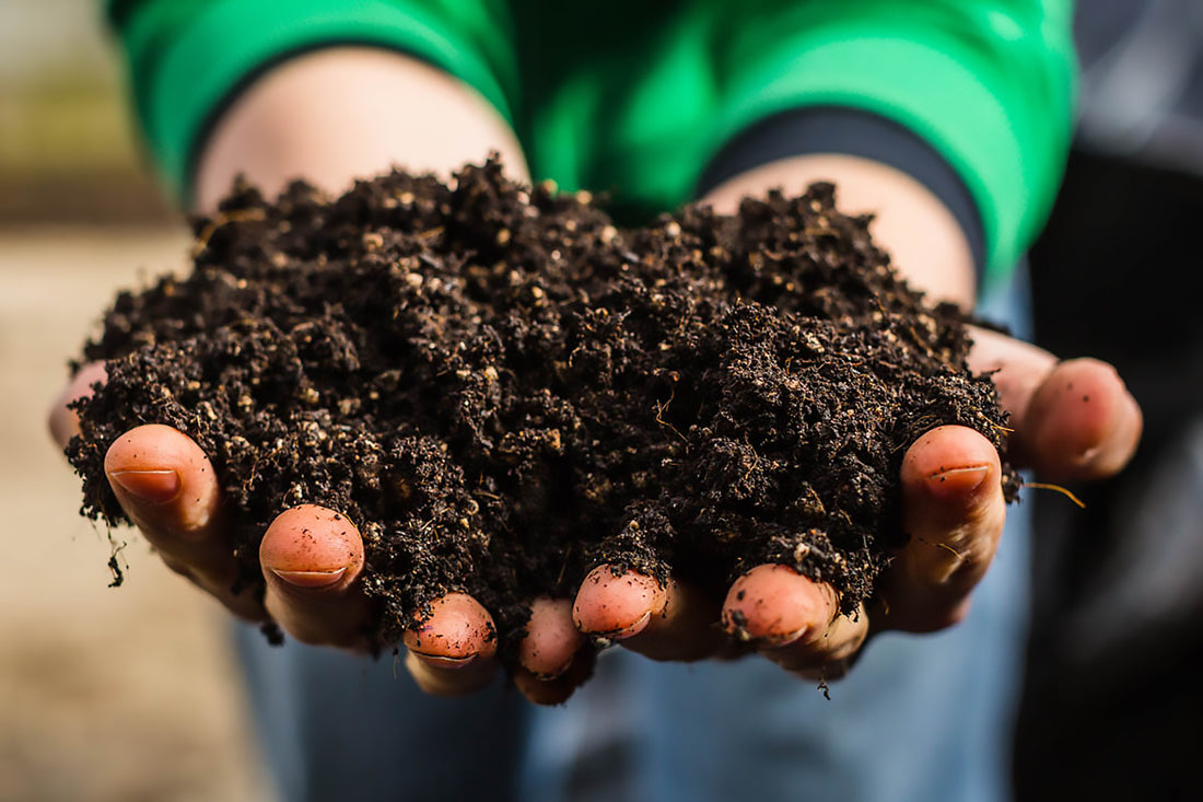 Soil Is A Way Of Life, But What Is Living Soil?