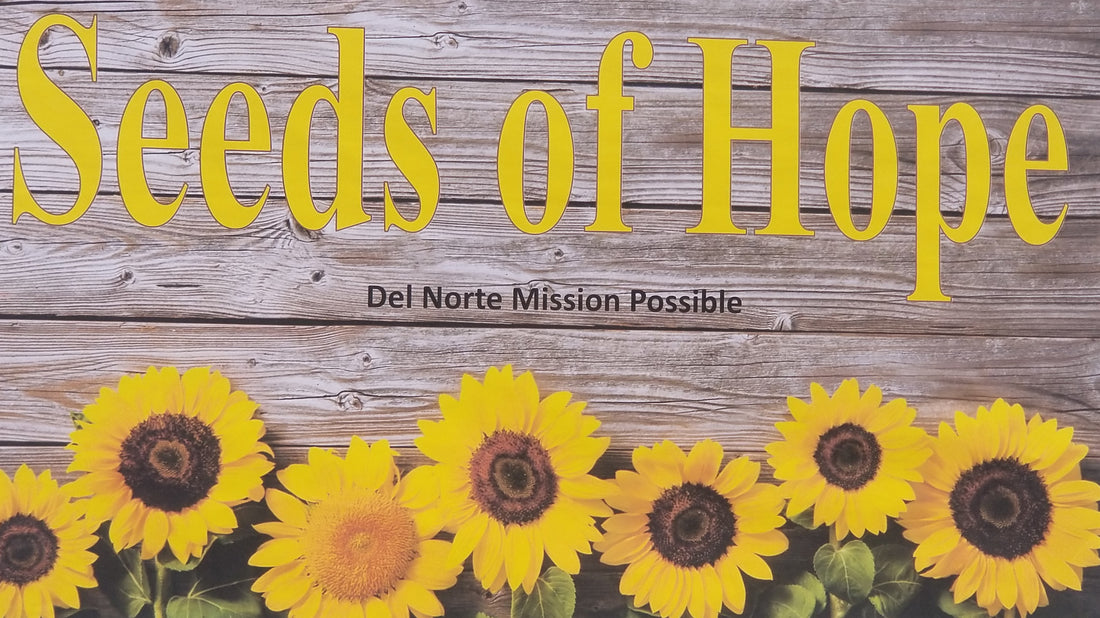 Partnerships Make 'Mission Possible House' a Success